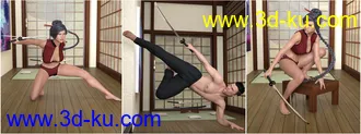 3D打印模型Z Samurai Swords - Props and Poses for Genesis 8的图片