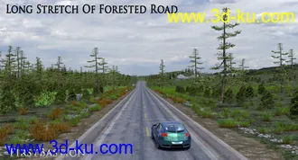 3D打印模型1stB-Long Stretch of Forested Road Add-On的图片