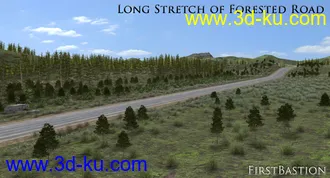 3D打印模型1stB-Long Stretch of Forested Road Add-On的图片