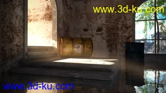 3D打印模型Abandoned Entry的图片