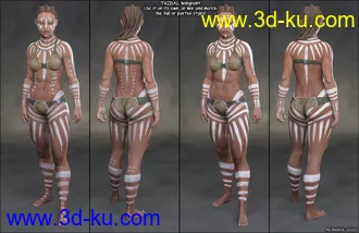 3D打印模型Aki Bodypaints Vol 1 for Genesis 8 Female(s)的图片