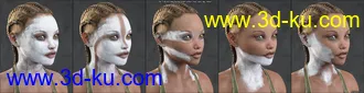 3D打印模型Aki Bodypaints Vol 1 for Genesis 8 Female(s)的图片