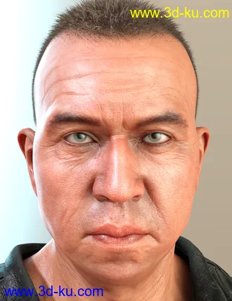 3D打印模型Alt Dasan 8的图片