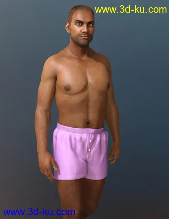 3D打印模型Alt Sanjay 8的图片
