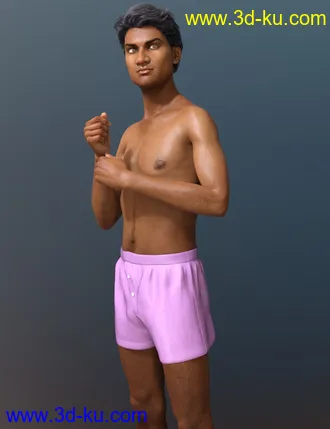 3D打印模型Alt Sanjay 8的图片
