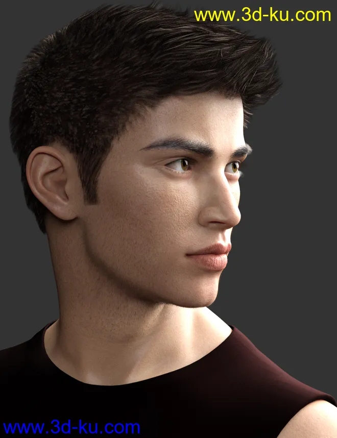 Armand HD for Genesis 8 Male and Valentino 8模型的图片2