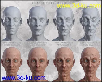 3D打印模型Artephius Magnus for Ollie 8的图片