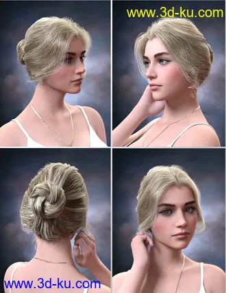 3D打印模型Aurelia Bun Hair for Genesis 8 Female(s)的图片