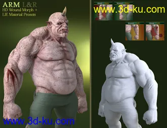 3D打印模型Battle Worn for Ogre HD and Genesis 8 Male(s)的图片