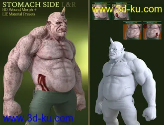 3D打印模型Battle Worn for Ogre HD and Genesis 8 Male(s)的图片