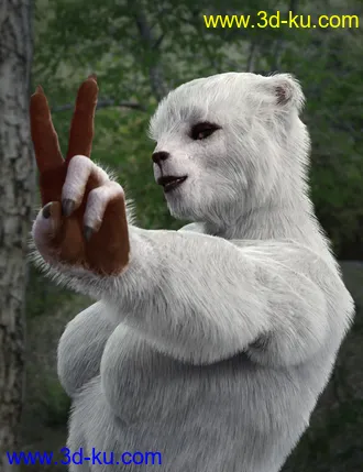 3D打印模型Bear Clan with dForce Hair for Genesis 8 Female的图片