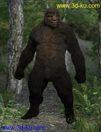 3D打印模型Bear Clan with dForce Hair for Genesis 8 Male的图片