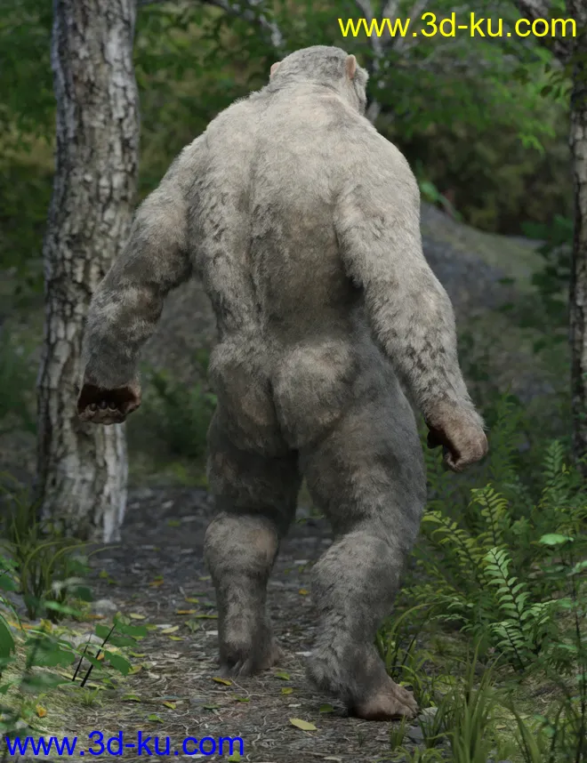 Bear Clan with dForce Hair for Genesis 8 Male模型的图片3