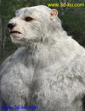 3D打印模型Bear Clan with dForce Hair for Genesis 8 Male的图片