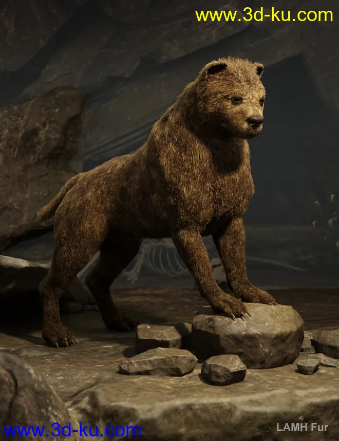 Bear Dog for Daz Dog 8模型的图片4