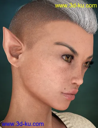 3D打印模型Beckett For Genesis 8 Female的图片