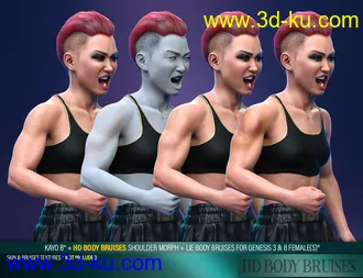 3D打印模型Body Bruises Morphs for Genesis 8 Female(s)的图片
