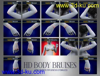 3D打印模型Body Bruises Morphs for Genesis 8 Female(s)的图片