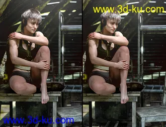 3D打印模型Body Bruises Morphs for Genesis 8 Female(s)的图片