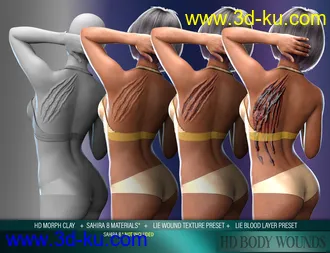 3D打印模型Body Wounds HD Morphs for Genesis 8 Female(s)的图片