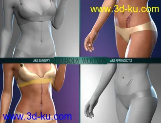 3D打印模型Body Wounds HD Morphs for Genesis 8 Female(s)的图片