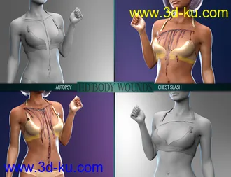 3D打印模型Body Wounds HD Morphs for Genesis 8 Female(s)的图片