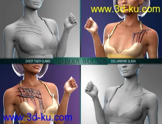 3D打印模型Body Wounds HD Morphs for Genesis 8 Female(s)的图片