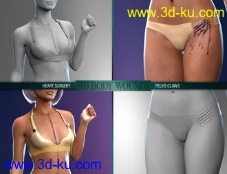 Body Wounds HD Morphs for Genesis 8 Female(s)模型的图片8