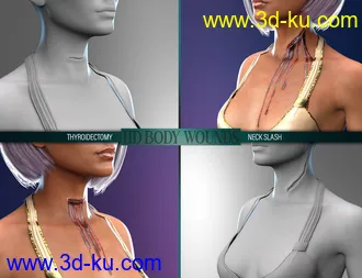 3D打印模型Body Wounds HD Morphs for Genesis 8 Female(s)的图片