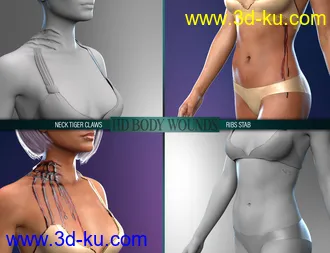 3D打印模型Body Wounds HD Morphs for Genesis 8 Female(s)的图片