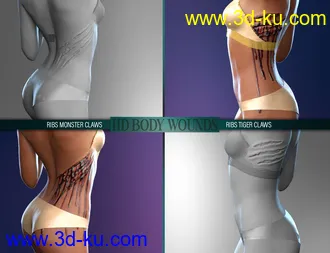 3D打印模型Body Wounds HD Morphs for Genesis 8 Female(s)的图片