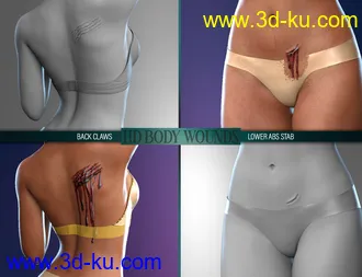 3D打印模型Body Wounds HD Morphs for Genesis 8 Female(s)的图片