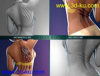 3D打印模型Body Wounds HD Morphs for Genesis 8 Female(s)的图片