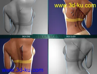 3D打印模型Body Wounds HD Morphs for Genesis 8 Female(s)的图片