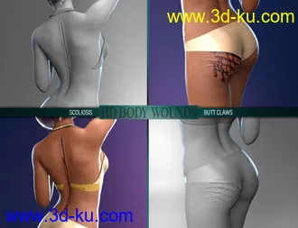 3D打印模型Body Wounds HD Morphs for Genesis 8 Female(s)的图片