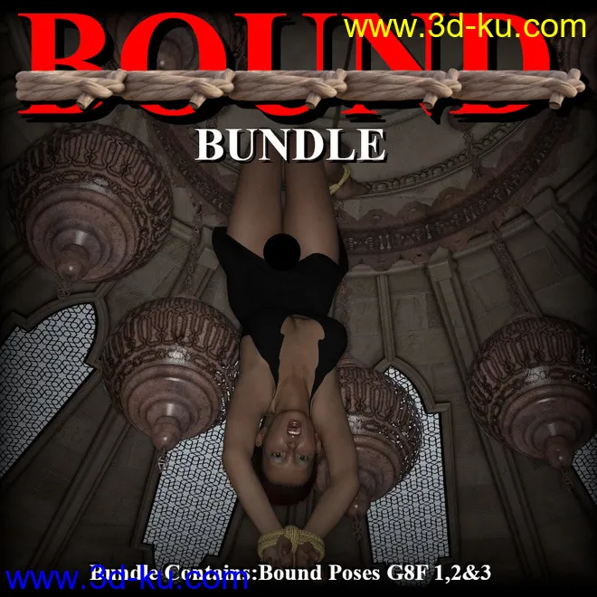 Bound Bundle模型的图片1