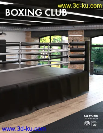 3D打印模型Boxing Club的图片