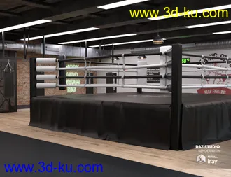 3D打印模型Boxing Club的图片
