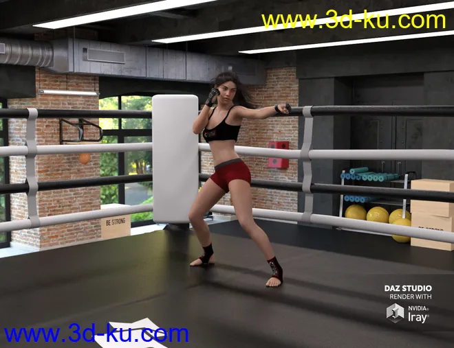 Boxing Club模型的图片5