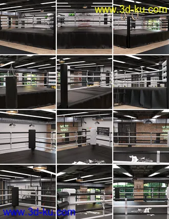 3D打印模型Boxing Club的图片
