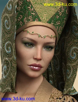 3D打印模型Brocade Iray Shaders - Roundabout的图片