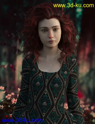 3D打印模型Brocade Iray Shaders - Roundabout的图片