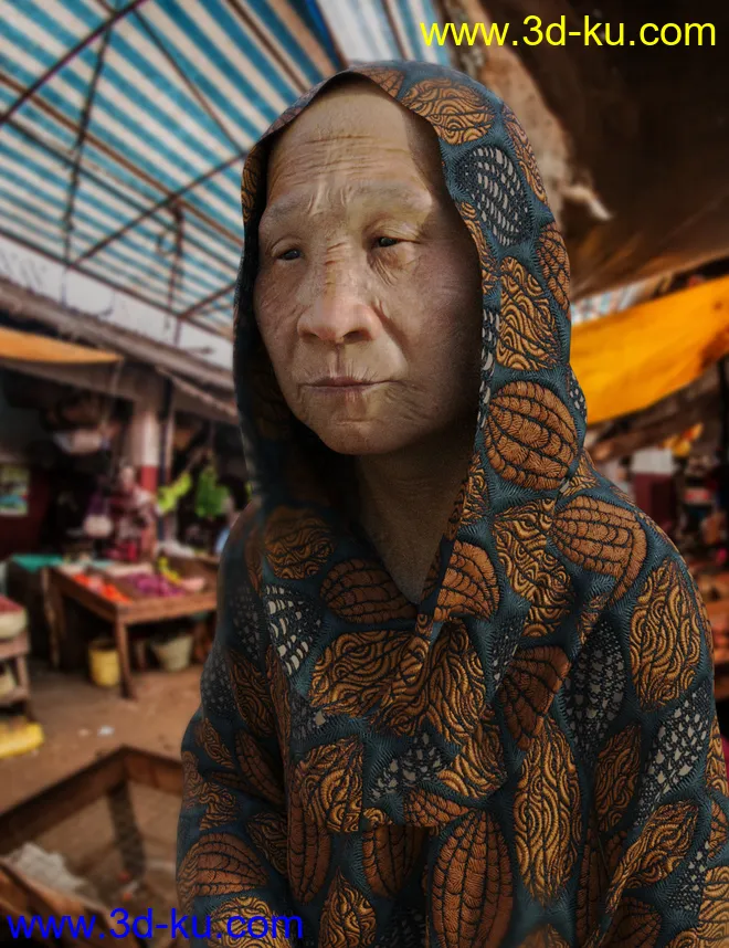 Brocade Iray Shaders - Roundabout模型的图片6