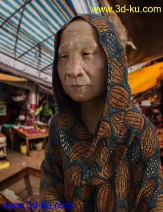 3D打印模型Brocade Iray Shaders - Roundabout的图片