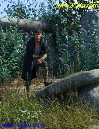 3D打印模型Buddleia - Butterfly Bushes的图片