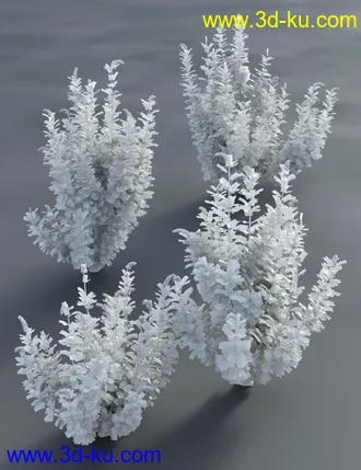 3D打印模型Buddleia - Butterfly Bushes的图片