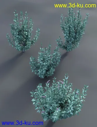 3D打印模型Buddleia - Butterfly Bushes的图片