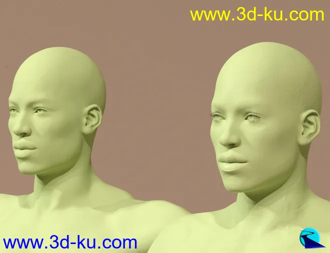 Character Converter from Genesis 2 Male to Genesis 8 Male模型的图片14