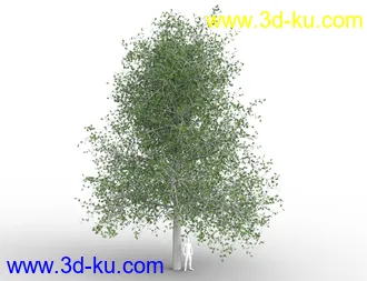 3D打印模型Collective3d Contemporary Home 1的图片