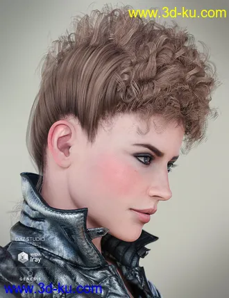 3D打印模型Colors for Bernedette Hair的图片